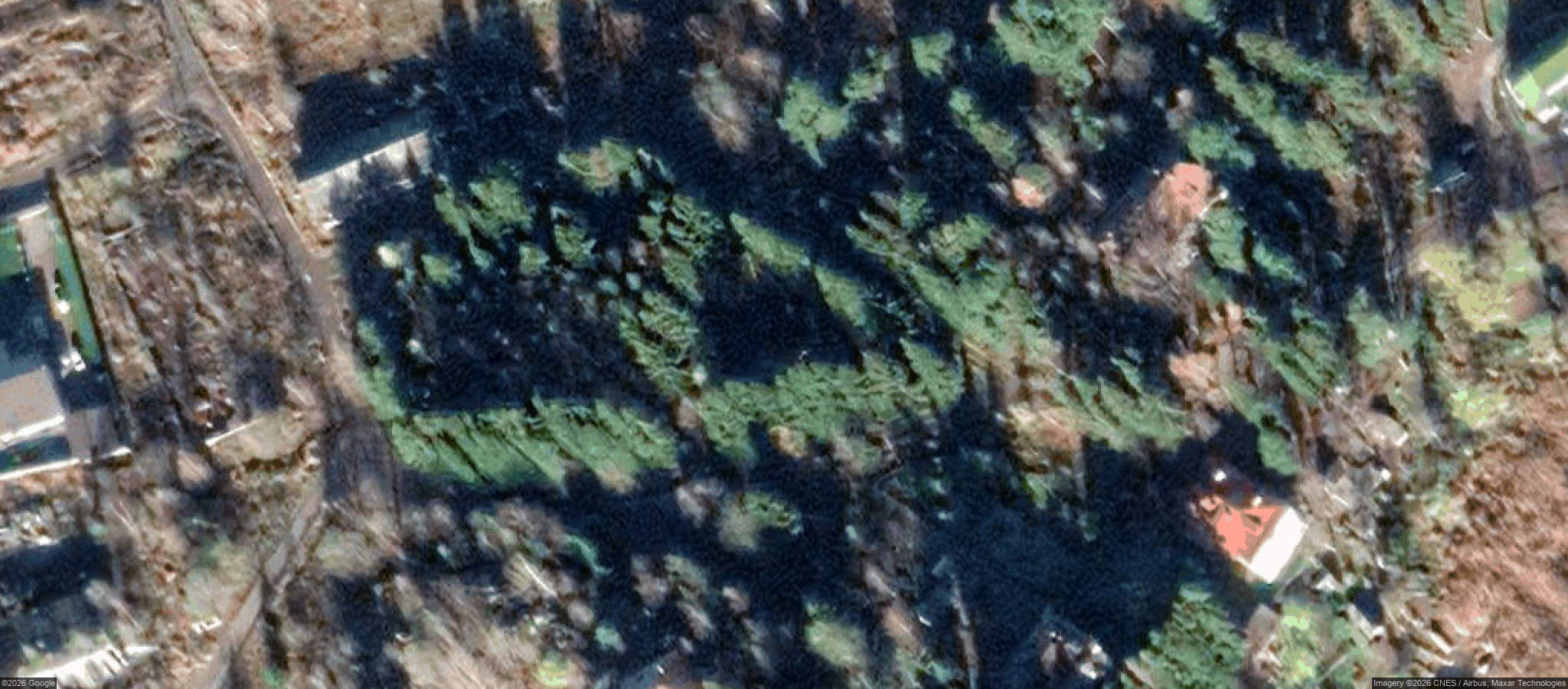 Map of Заброшенный дом